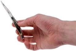 Laguiole En Aubrac Pocket Knife 7 Cm Horn, L0207PCI-SSI1 -Gentleman’s Knives Popular Shop AUL0207PCI SSI1 08 laguiole en aubrac aul0207pci ssi1 08