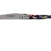 Laguiole En Aubrac 10 Cm Pocket Knife Harlequin Acrylic, L0210ARLI-FSI1