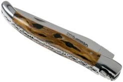 Laguiole En Aubrac 12cm Double Plates, Hand-filed Cactus, L0712CA51-FSI1 -Gentleman’s Knives Popular Shop AUL0712CA51 FSI1 04 laguiole en aubrac v202010