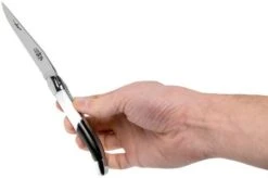 Forge De Laguiole Airbus A350 1211 INAIRBUS Laguiole Knife -Gentleman’s Knives Popular Shop LA1211INAIRBUS 07 forge de laguiole