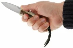 LionSteel Opera 8800 CE 6 LionSteel Opera 8800 CE -Gentleman’s Knives Popular Shop LI 8800 CE 07 lionsteel opera li 8800 ce d8