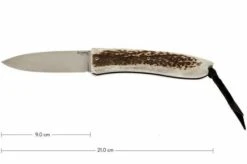 LionSteel Big Opera, 8810 CE