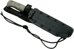 LionSteel M7 CVG Satin, Green Canvas Micarta Fixed Knife, Molletta Design -Gentleman’s Knives Popular Shop LI M7 CVG 06 lionsteel