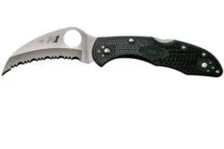 Spyderco Tasman Salt 2 C106SBK2 Pocket Knife