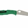 Spyderco Endura 4 Green C10FPGR Pocket Knife
