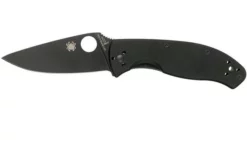 Spyderco Tenacious Black C122GBBKP Pocket Knife