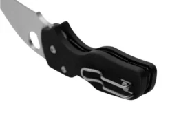 Spyderco Lil' Native C230GPWC Wharncliffe Compression Lock G10, Pocket Knife -Gentleman’s Knives Popular Shop SPC230GPWC 04 spyderco