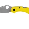 Spyderco Dragonfly 2 Salt C28PYL2 Pocket Knife