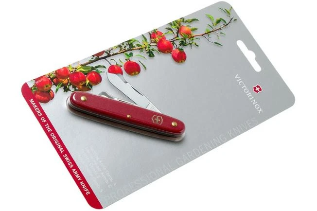 Victorinox Budding Knife Combi S 3.9040.B1 Red Victorinox Budding Knife Combi S 3.9040.B1 Red -Gentleman’s Knives Popular Shop VT3 9040