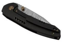 WE Knife Trogon WE22002B-DS1 Black Titanium, Heimskringla Damasteel Pocket Knife 6 WE Knife Trogon WE22002B-DS1 Black Titanium, Heimskringla Damasteel Pocket Knife -Gentleman’s Knives Popular Shop WKWE22002B DS1 07 weknife